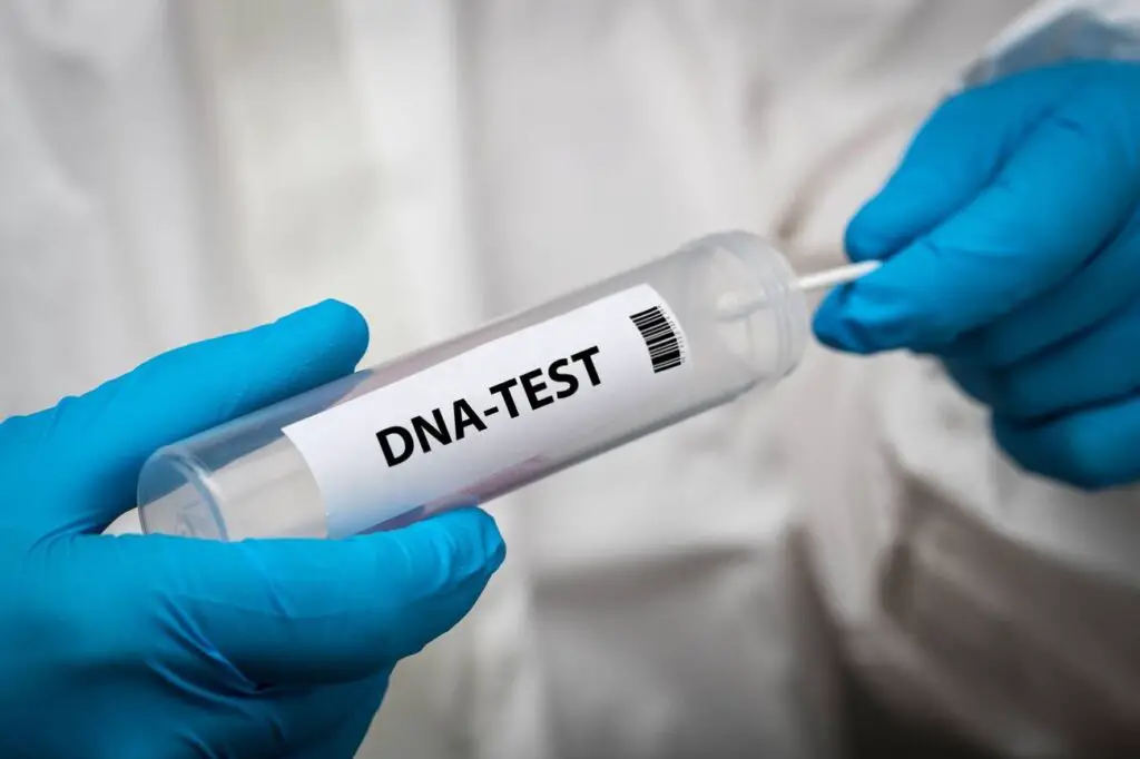 Where Can I Do DNA Test for Free in South Africa?