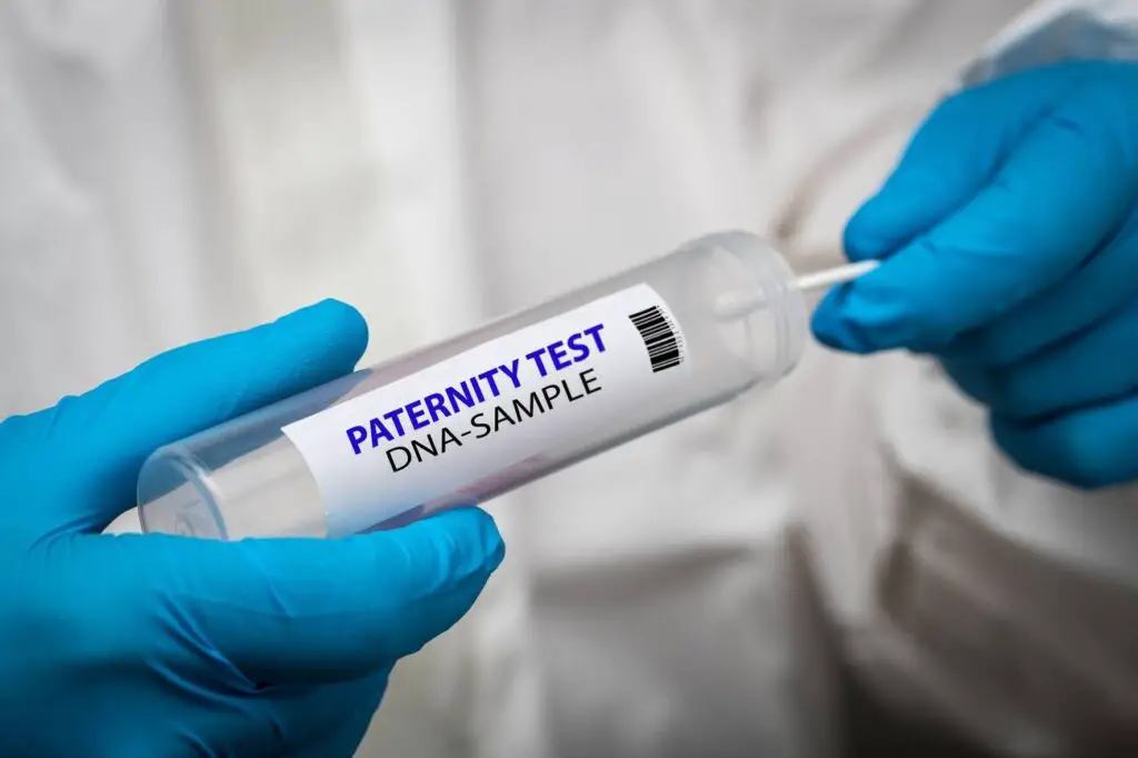 paternity test