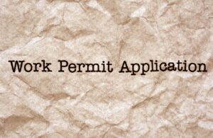 How to Apply for Work Permit in South Africa