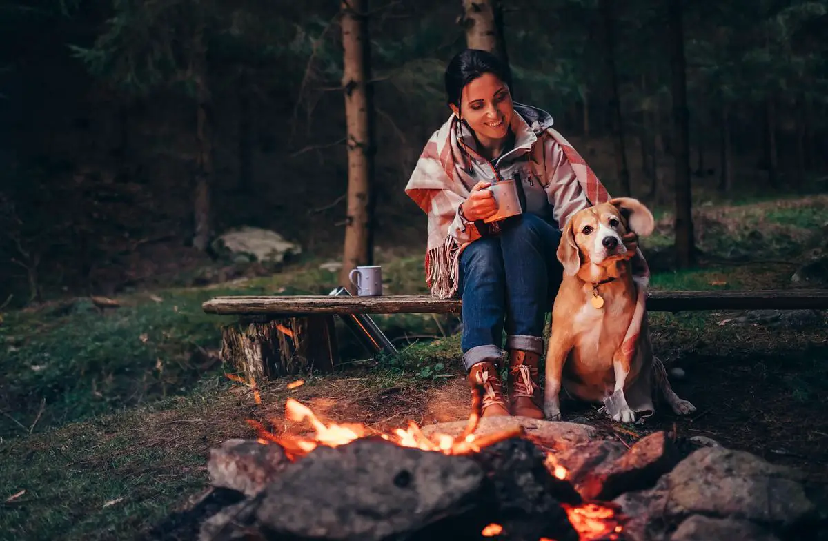 Pet-Friendly Camping